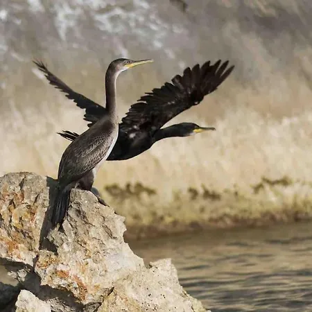 Seaside 2br-1ba. 7 Min Walk To The Willa La Caletta